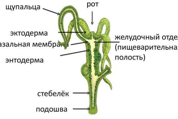 Кракен даркнет отзывы