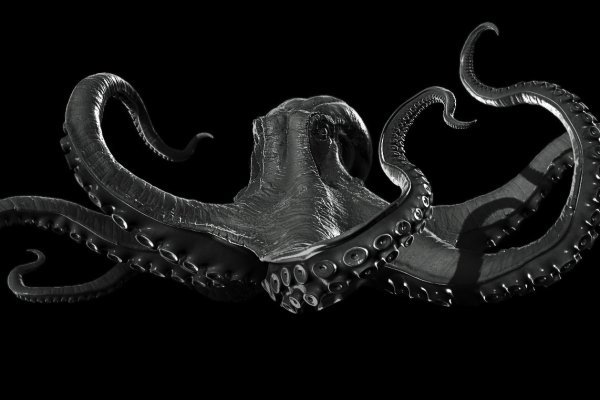 Kraken darknet 3dark link com