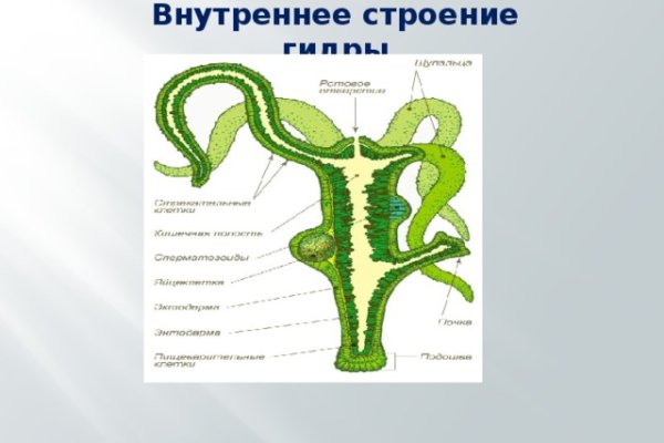 Кракен перейти