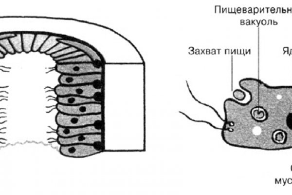 Kraken ссылка зеркало официальный